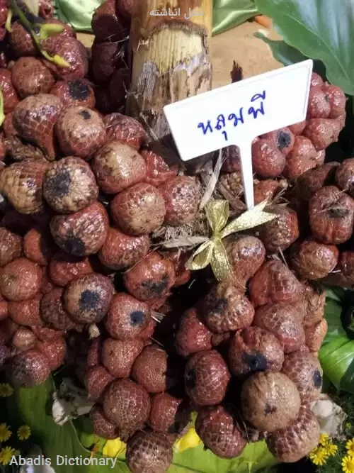 نخل انباشته